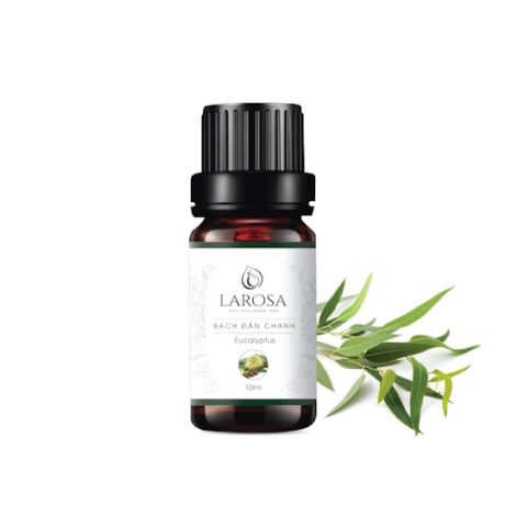bach-dan-chanh-10ml