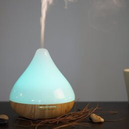 Máy xông tinh dầu LAROSA-13K