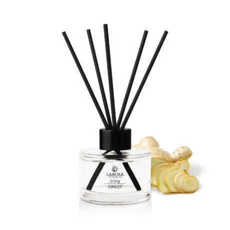 #41866-mockup-tk6-02