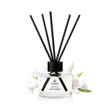 #41866-mockup-tk6-04