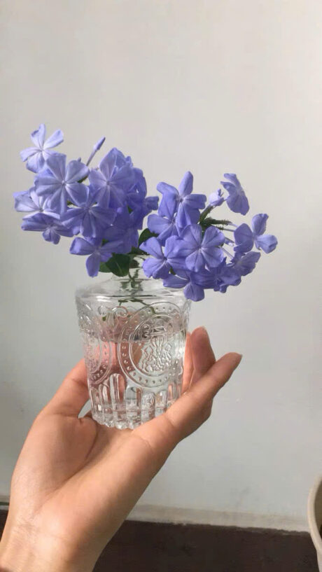 38552133411df443ad0c20