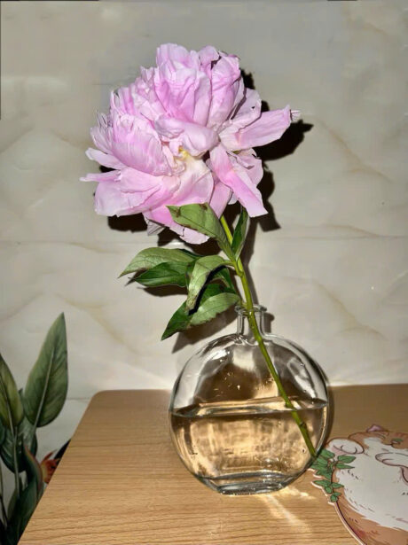 3c936c1e0d30b86ee12126