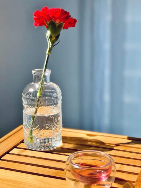 489882eee2c0579e0ed121