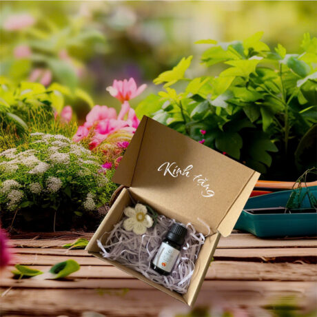 adb383c6a5f403aa5ae5